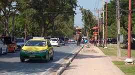 Ayutthaya elephants walking around the roads