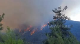 Türkiye: Massive wildfire threatens residential areas in Bursa, Türkiye