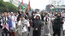 Hundreds in Jakarta rally in solidarity with Palestine