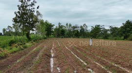A man in his pajamas and bare feet working in his cassava plantation at Phetchabun, Thailand.