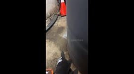 Man startled by fallen mannequin on ladder in Fayetteville, Georgia