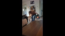 Dog playfully sabotages cleanup by tossing toys back out of basket in Sint-Oedenrode, Netherlands