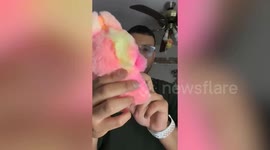 Collector spends over $5000 on Labubu and Sonny angel dolls