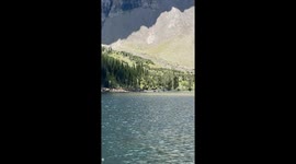 Clueless Tourists Have a Grizzly Encounter