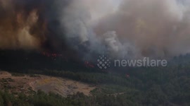 Türkiye: Türkiye battles dozens of wildfires in single day as evacuations widen