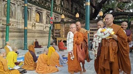 India: Buddhist monks hold world peace prayers for Thiland- Cambodia, victims of conflict