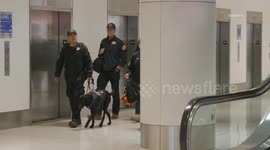 US, Los Angeles: LAX K9 Search Teams Return from Flood Stricken Texas Part 1