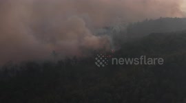 Türkiye: Firefighters battle large wildfire in Türkiye’s Bursa province