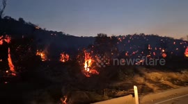 Wildfire destroys ancient olive trees in Cyprus