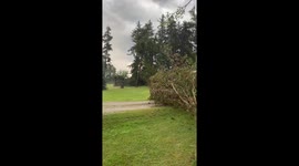 Canada: EF-1 Downburst Hits Mitchell, Ontario, Leaving Trail of Destruction