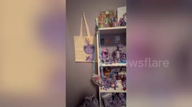 College student spends thousands on Monsters Inc.'s Randall collection