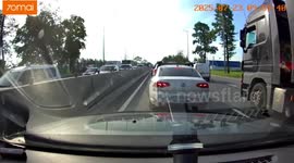 Kindhearted driver stops traffic to help mother duck and ducklings cross road