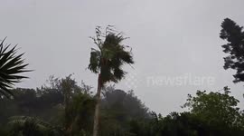Japan: Typhoon Brings Strong Winds to Ogasawara Islands