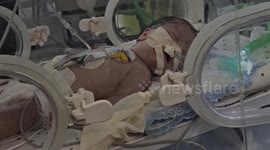 Medical personnel saves baby of deceased pregnant Palestinian mother