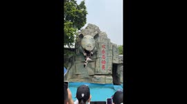 Pigs dive from pig-head statue into pool in Guangdong, China