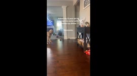 Elder brother uses hoverboard to entertain baby sister in a fun way