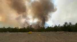 Firefighting efforts continue to extinguish large wildfire in western Türkiye (2)