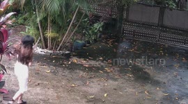 Woman runs into garden only to slip on moss-covered floor