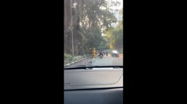 Motorcycle rider wearing all gold baffles road users