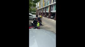 Food delivery rider resuscitates cat rescued from house fire