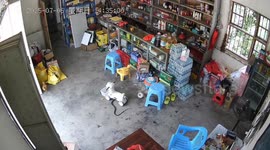 Store owner bit by snake catches it and whirls it around like lasso