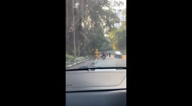 Motorcycle rider wearing all gold baffles road users
