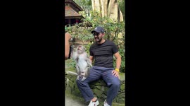 Monkey gets angry during photoshoot at Monkey Forest Sanctuary in Bali, Indonesia