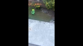 Rodents scatter after loud tap from balcony in Vancouver, Canada