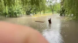 Flash Flooding Submerges Streets in Kielce After Torrential Rains