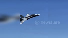 F-18 Pilot Dodges Birds And Saves Airshow From Near Crash