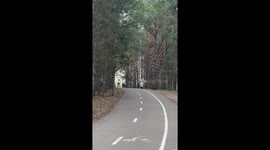 Airplane-Man Skates Away