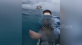 Woman swims with sharks in the Maldives