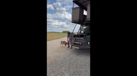 Ram Headbutts Ranch Worker