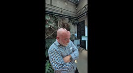 Butterflies Flock to Bald Man's Head