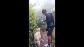 Doggo stops for a drinks break while hiking volcano