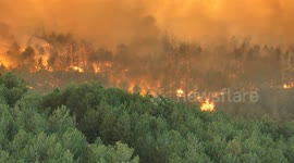 Massive forest fire in Türkiye’ Bursa continues for 4 straight days