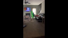 Boy's hilarious backward fall while pretending to be dragged by 'alien'