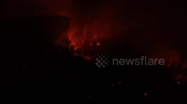 Forest fire in northern Türkiye prompts evacuations for second day