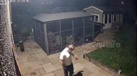 Hilariously relatable moment as puppy runs into glass door thinking it is open