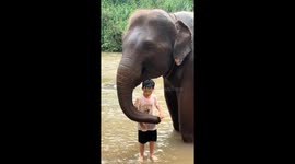Elephant playfully squirts water on boy in Chiang Mai, Thailand