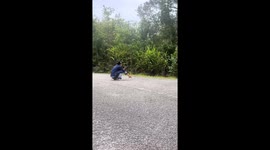 Two monkeys share heartfelt hug in Yunnan, China