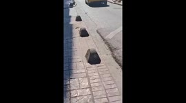 Unfazed cat pooing in middle of road holds up traffic