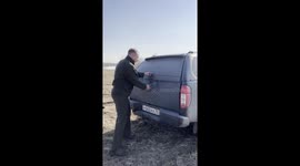 A Car Full of Dogs Gets Released for a Run