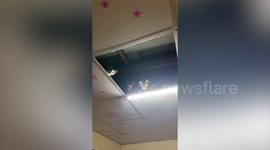 Three creepy kittens stare through hole in ceiling