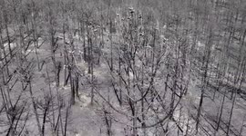 DRONE - Wildfire aftermath in northwestern Türkiye as firefighting efforts continue