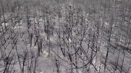 Türkiye: DRONE - Wildfire aftermath in northwestern Türkiye as firefighting efforts continue
