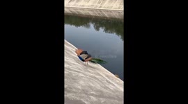 Man Rescues Peacock From Canal