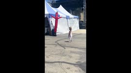 Girl mimics dancing tube man at county fair in Sacramento, California, USA