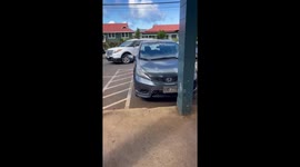 US: Long Lines at Gas Stations Amid Tsunami Warning in Kilauea, Hawaii