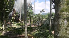 A large-scale eviction operation was launched within the Rengma Reserve Forest in Uriamghat, located in Assam’s Golaghat district near the Nagaland border.